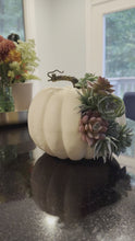 Load and play video in Gallery viewer, Cascading succulents Cream pumpkin
